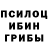 Галлюциногенные грибы прущие грибы scare ten