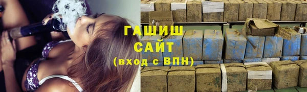 хмурый Арсеньев