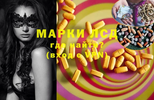 стафф Аркадак