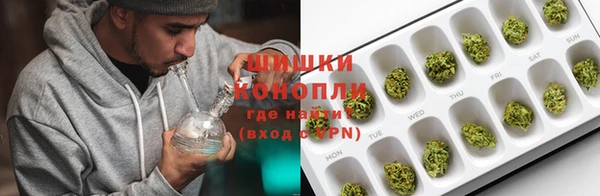 хмурый Арсеньев