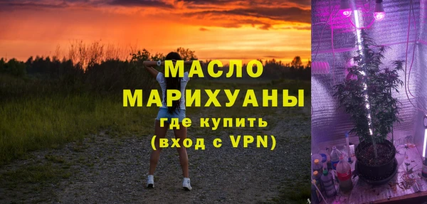 хмурый Арсеньев
