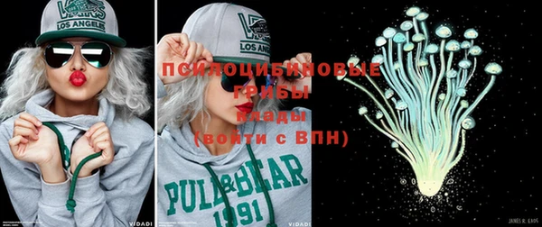 стафф Аркадак
