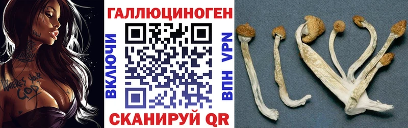 Галлюциногенные грибы мицелий  Горячий Ключ 